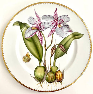 Orchid #2 Dinner Plate by Anna Weatherley